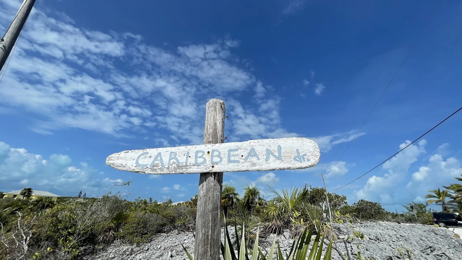 Driftwood Caribbean Dr. sign against blue sky and palms
