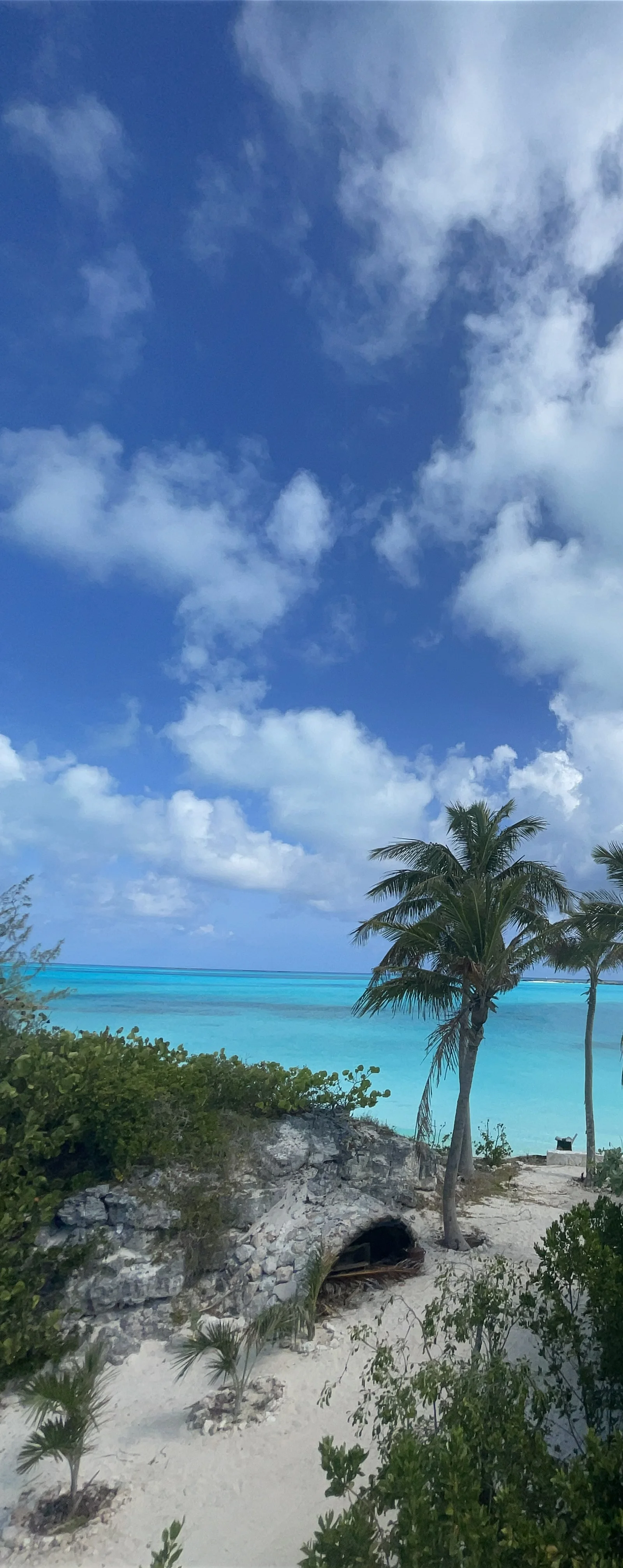 Palms over emerald cove with cloud-filled sky